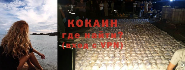 индика Алексеевка