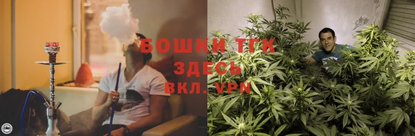 индика Алексеевка